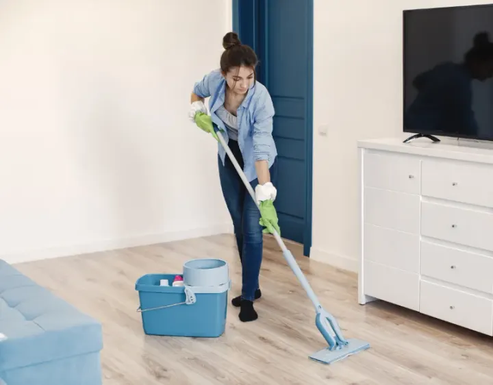 Femme de ménage Holving